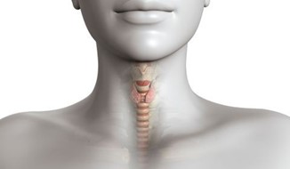 Qu’est-ce que la thyroïde?